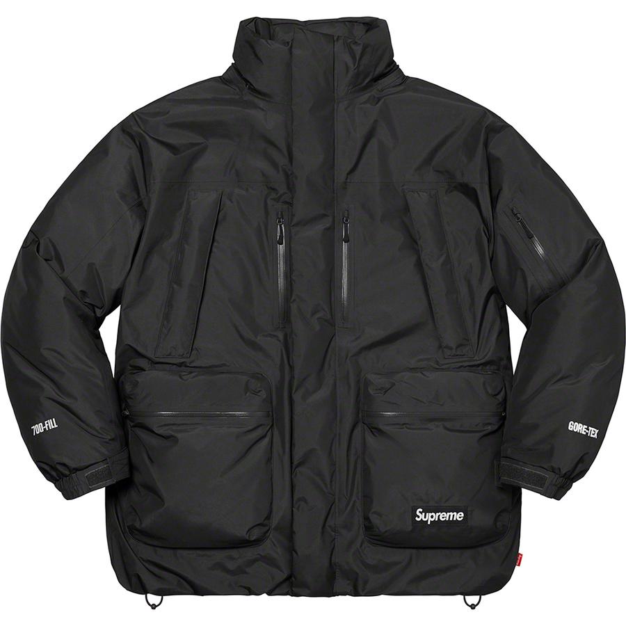 Details on GORE-TEX 700-Fill Down Parka  from fall winter
                                                    2022 (Price is $568)