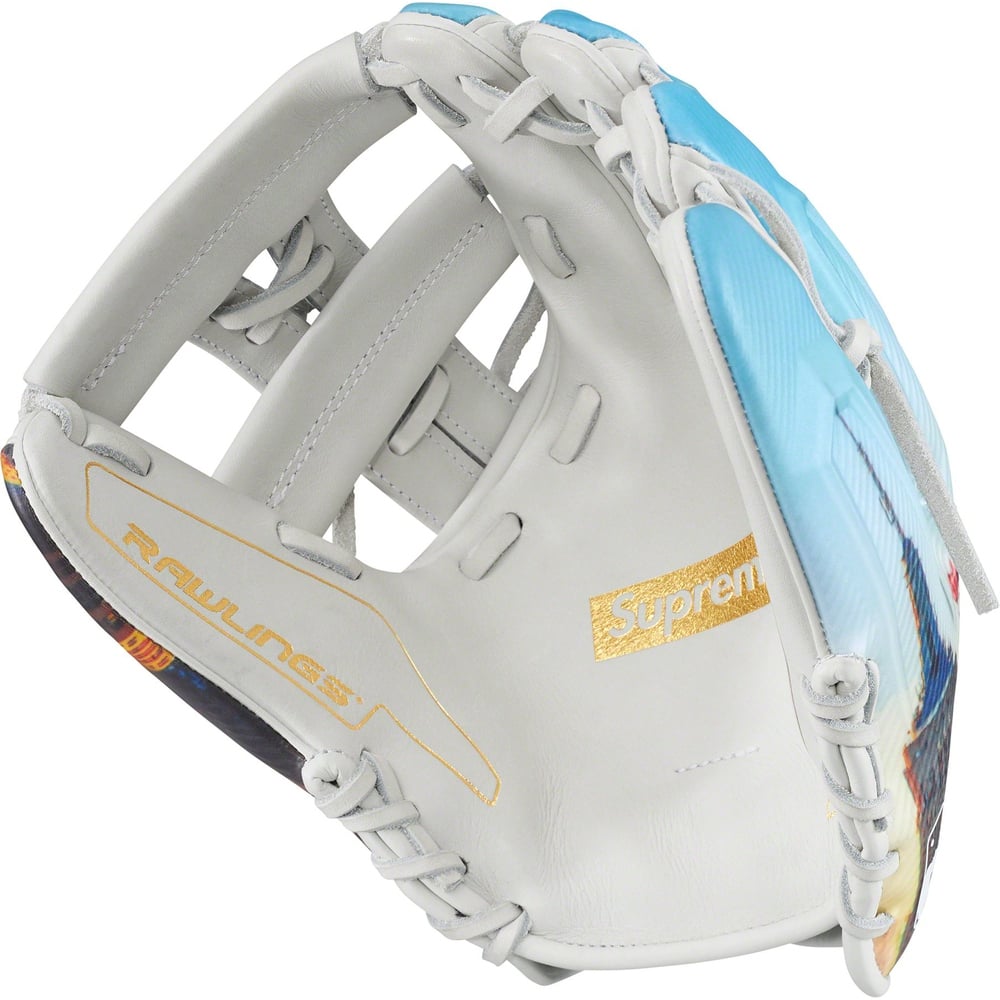 Details on Supreme Rawlings REV1X Aerial Baseball Glove  from fall winter
                                                    2023 (Price is $648)