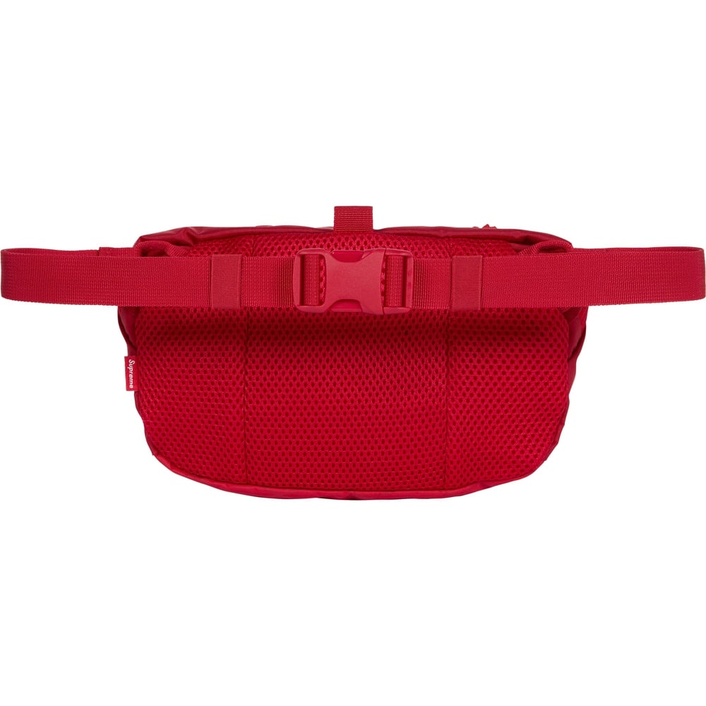 Details on Waist Bag  from fall winter
                                                    2023 (Price is $58)