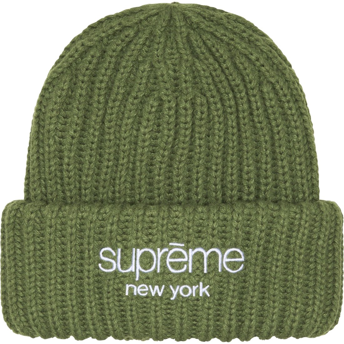 Details on Classic Logo Chunky Ribbed Beanie Olive from fall winter
                                                    2023 (Price is $40)
