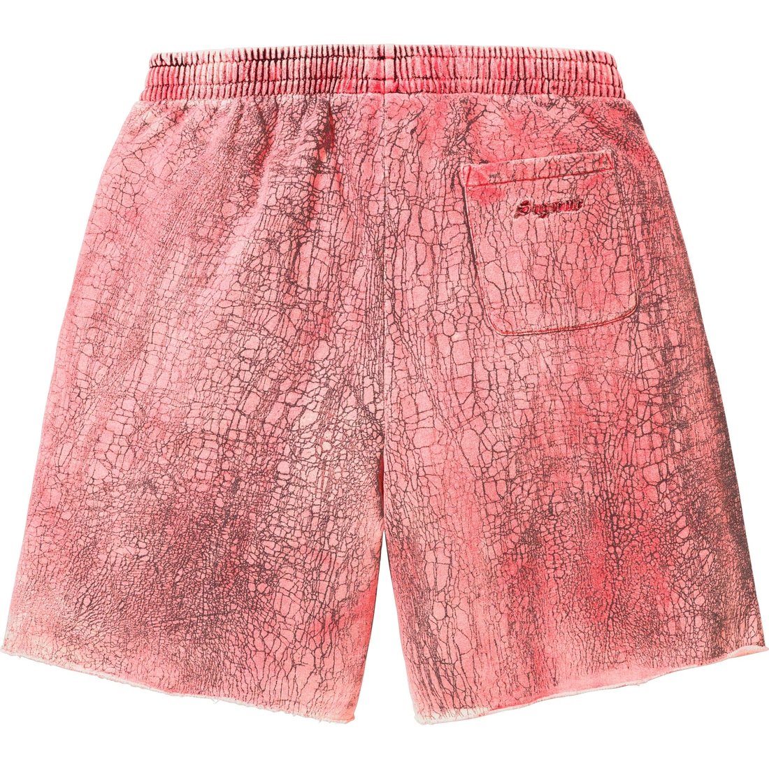 Details on Crackle Sweatshort Red from fall winter
                                                    2023 (Price is $188)