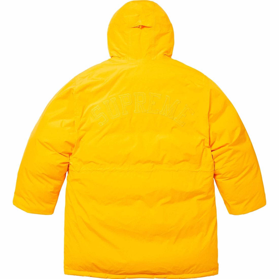 Details on GORE-TEX 700-Fill Down Clip Parka Yellow from fall winter
                                                    2023 (Price is $798)