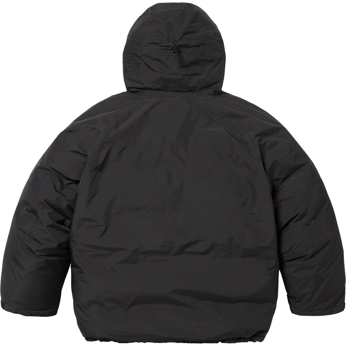 Details on GORE-TEX 700-Fill Down Parka Black from fall winter
                                                    2023 (Price is $598)