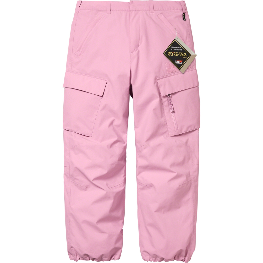 Details on GORE-TEX Cargo Pant Mauve from fall winter
                                                    2023 (Price is $238)