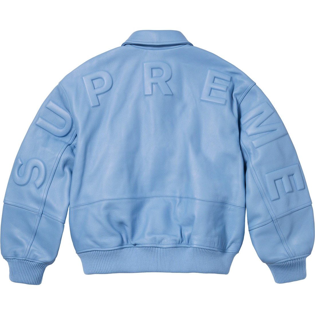 Details on GORE-TEX Infinium WINDSTOPPER Leather Varsity Jacket Light Blue from fall winter
                                                    2023 (Price is $998)