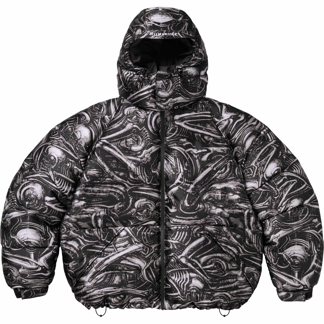 Details on H.R. Giger Jacquard Down Puffer Jacket Black from fall winter
                                                    2023 (Price is $498)