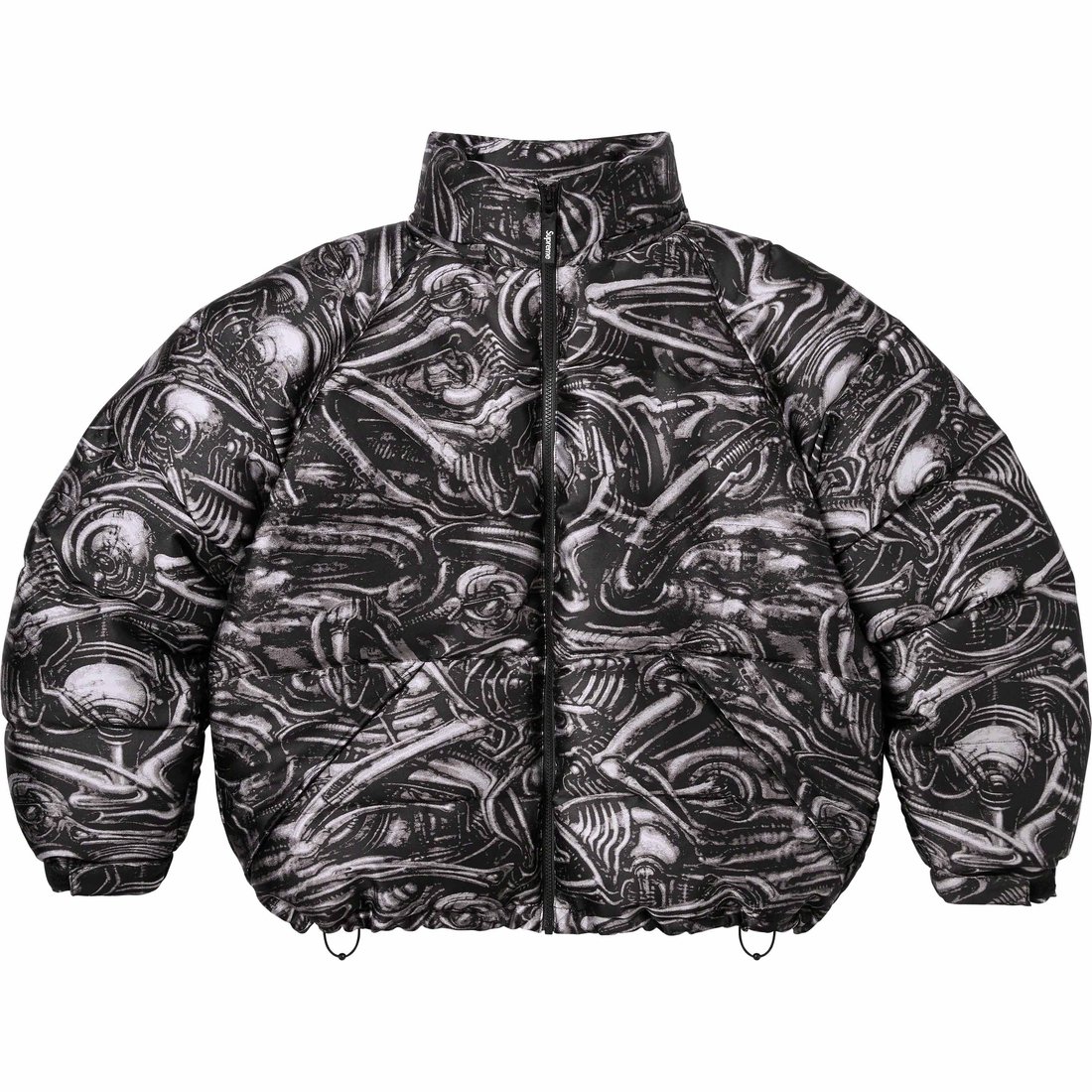 Details on H.R. Giger Jacquard Down Puffer Jacket Black from fall winter
                                                    2023 (Price is $498)