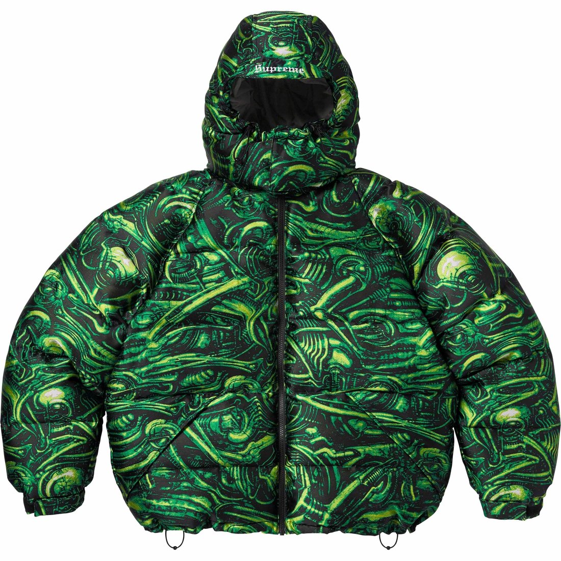 Details on H.R. Giger Jacquard Down Puffer Jacket Green from fall winter
                                                    2023 (Price is $498)