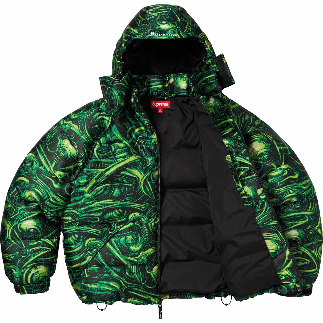 Details on H.R. Giger Jacquard Down Puffer Jacket Green from fall winter
                                                    2023 (Price is $498)