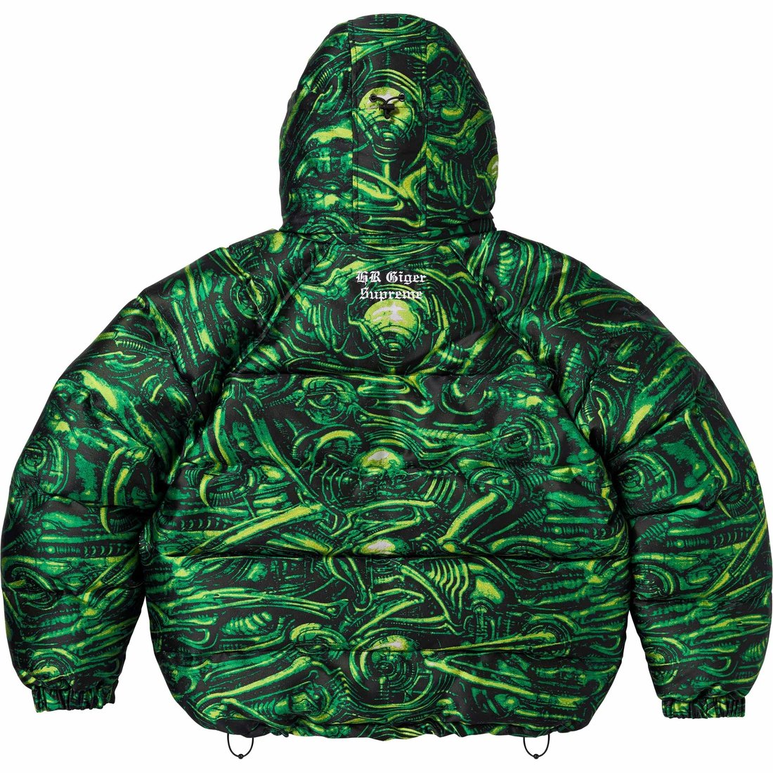 Details on H.R. Giger Jacquard Down Puffer Jacket Green from fall winter
                                                    2023 (Price is $498)