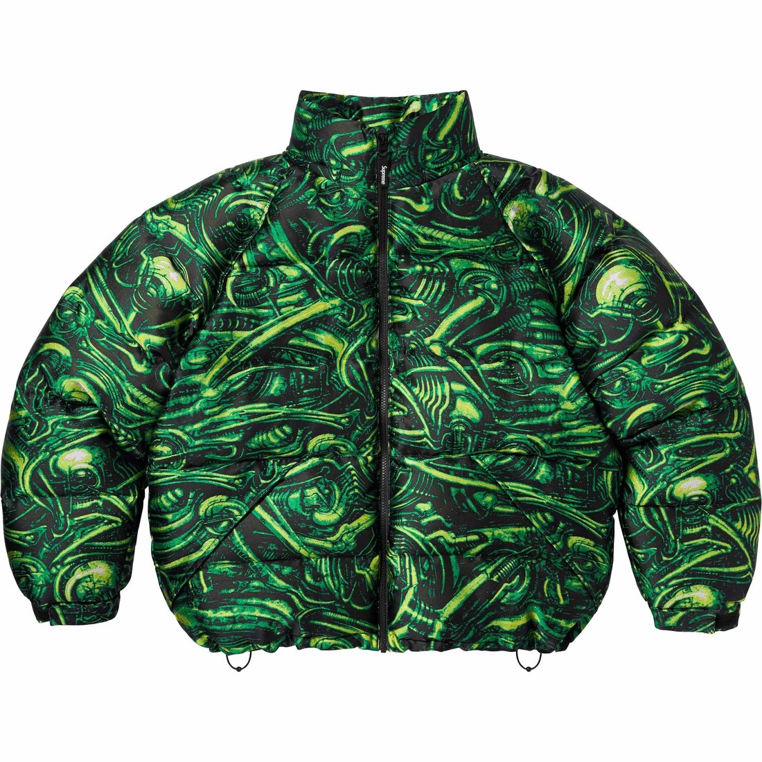 Details on H.R. Giger Jacquard Down Puffer Jacket Green from fall winter
                                                    2023 (Price is $498)