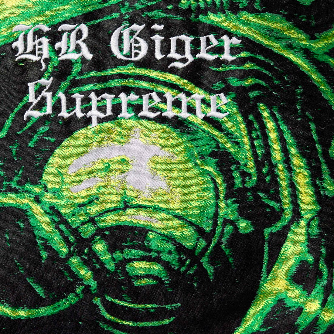 Details on H.R. Giger Jacquard Down Puffer Jacket Green from fall winter
                                                    2023 (Price is $498)