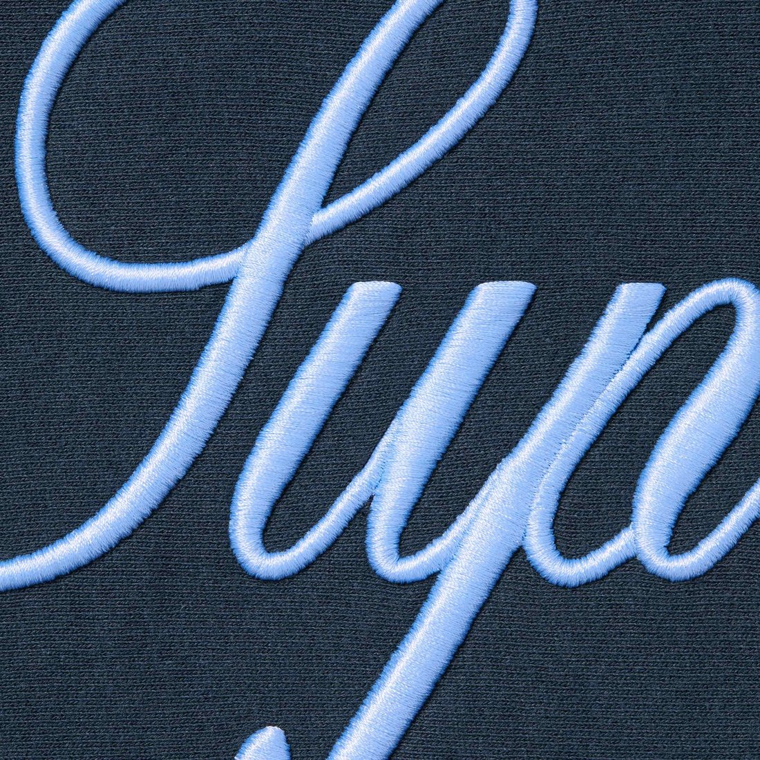 Details on Raised Script Hooded Sweatshirt Navy from fall winter
                                                    2023 (Price is $158)