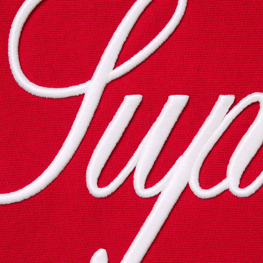 Details on Raised Script Hooded Sweatshirt Red from fall winter
                                                    2023 (Price is $158)
