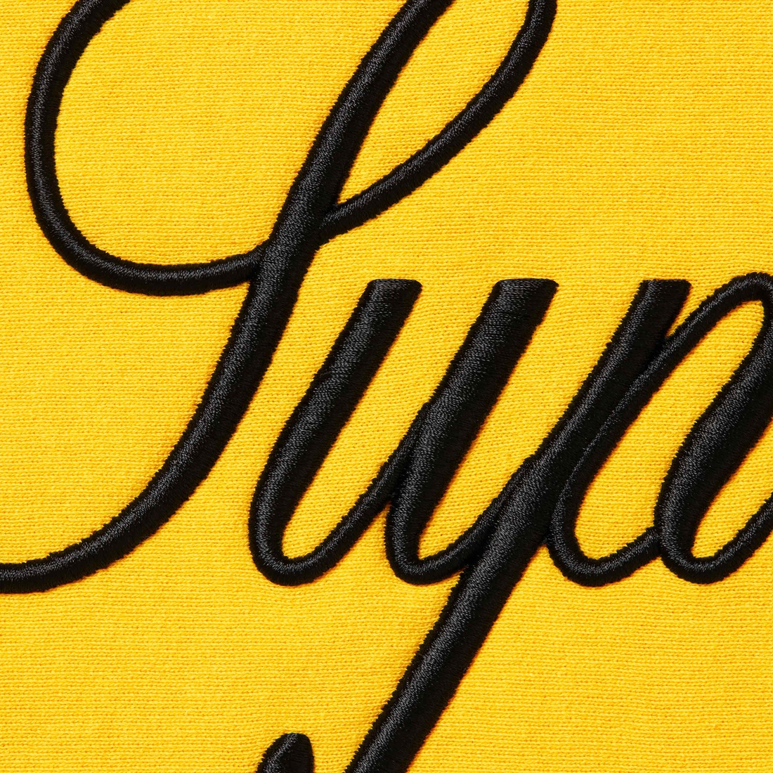 Details on Raised Script Hooded Sweatshirt Yellow from fall winter
                                                    2023 (Price is $158)