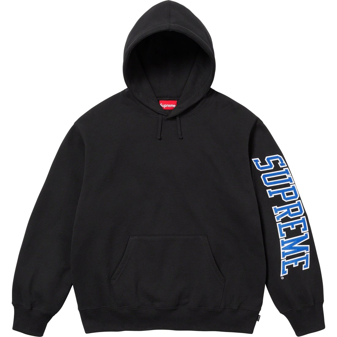 Details on Sleeve Arc Hooded Sweatshirt Black from fall winter
                                                    2023 (Price is $158)