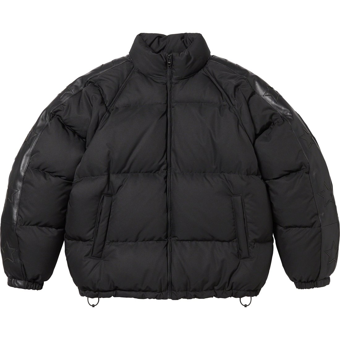 Details on Star Sleeve Down Puffer Jacket Black from fall winter
                                                    2023 (Price is $448)