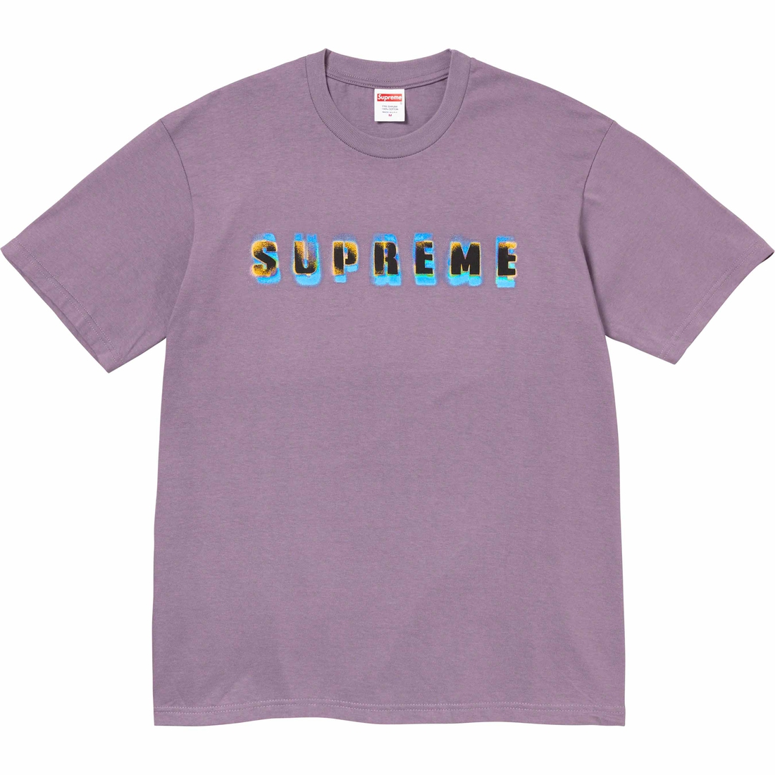Details on Stencil Tee Dusty Purple from fall winter
                                                    2023 (Price is $40)