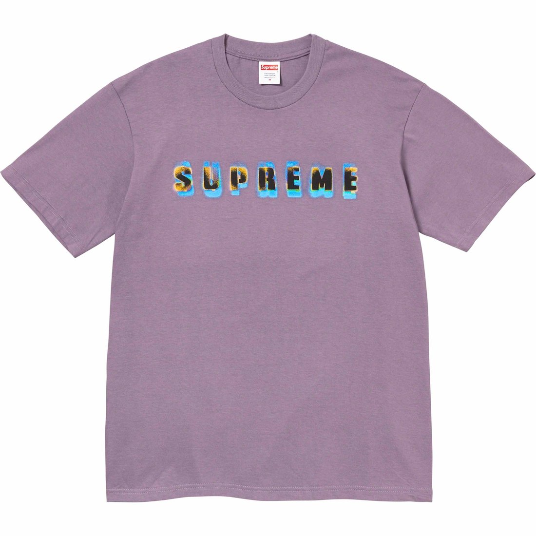 Details on Stencil Tee Dusty Purple from fall winter
                                                    2023 (Price is $40)