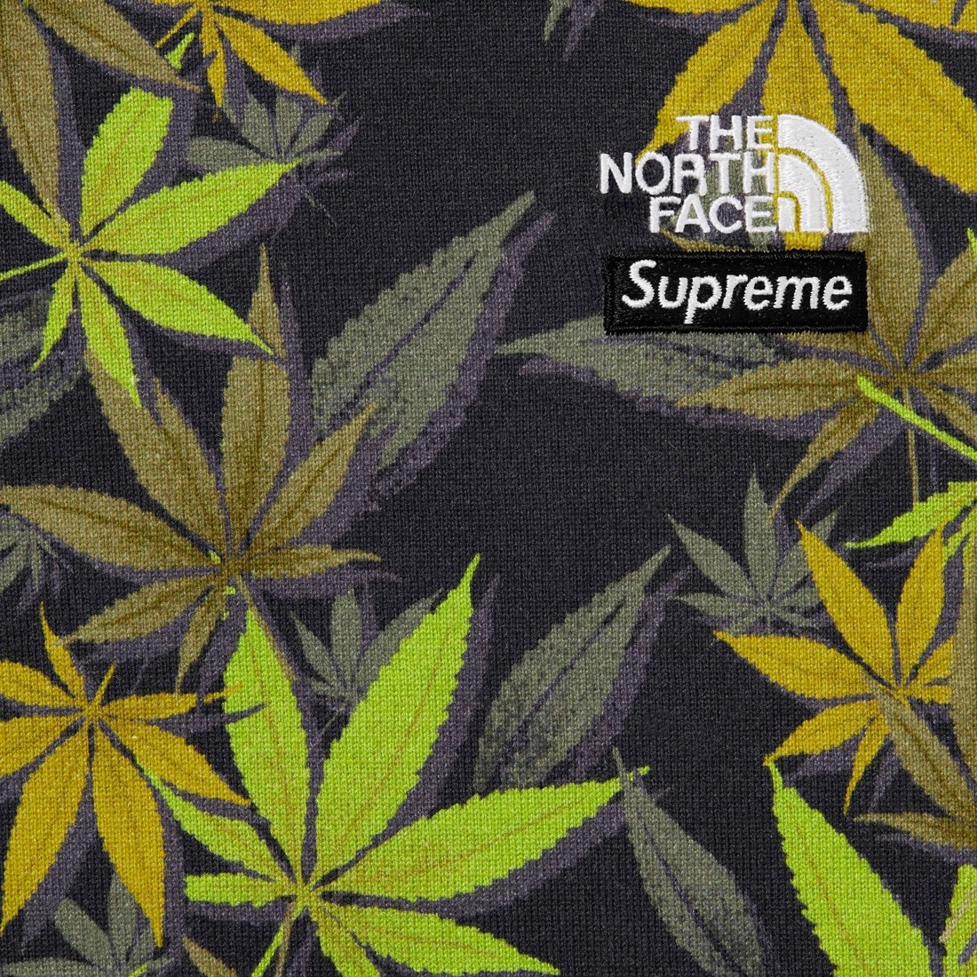 Details on Supreme The North Face Leaf S S Top Black from fall winter
                                                    2023 (Price is $78)