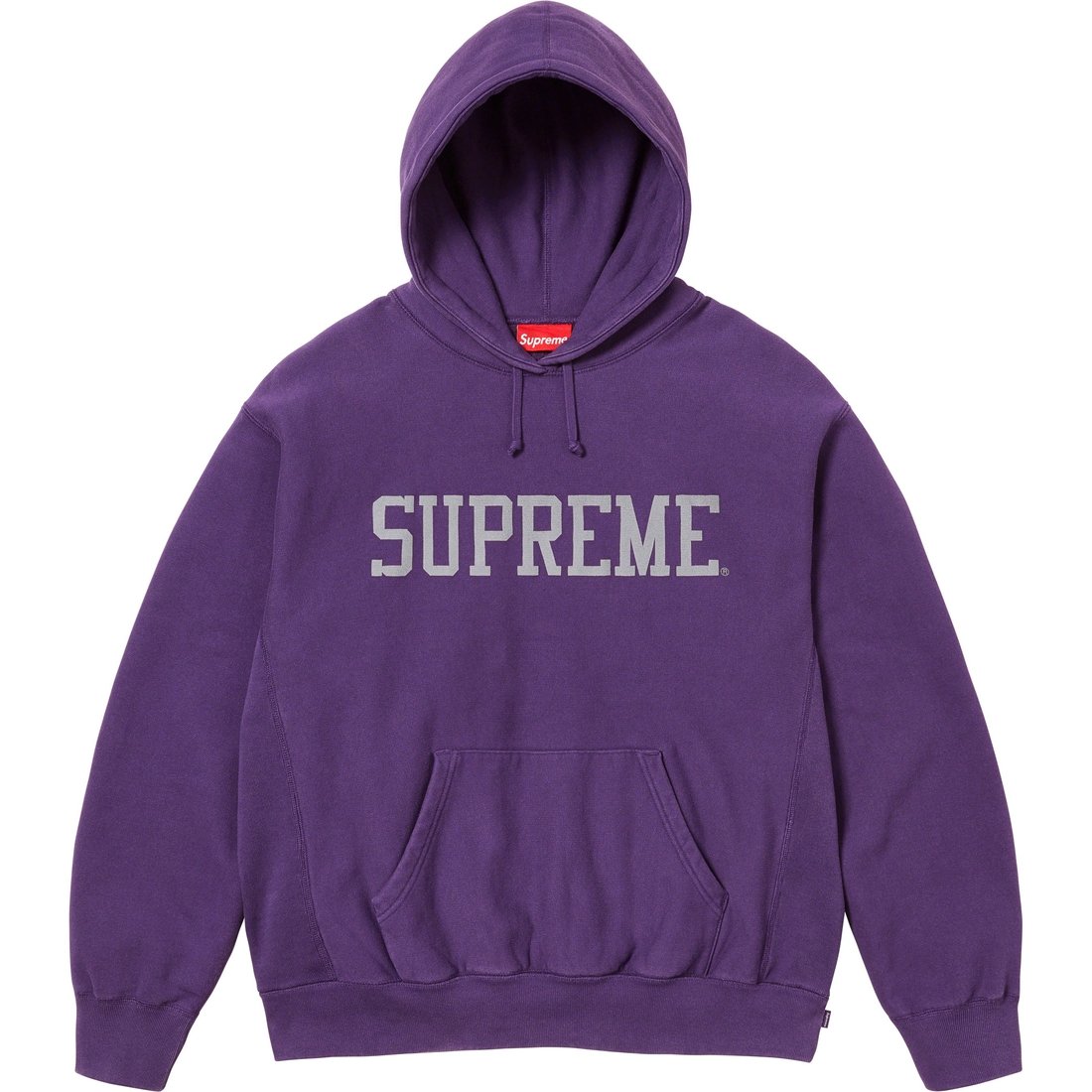 Details on Varsity Hooded Sweatshirt Dark Purple from fall winter
                                                    2023 (Price is $158)