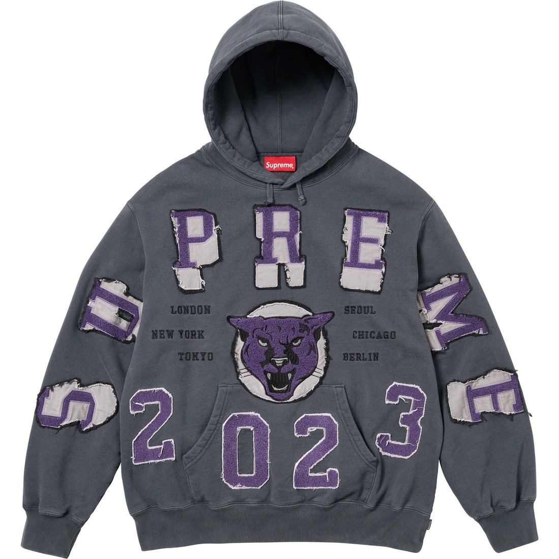 Details on Washed Panther Hooded Sweatshirt Black from fall winter
                                                    2023 (Price is $178)