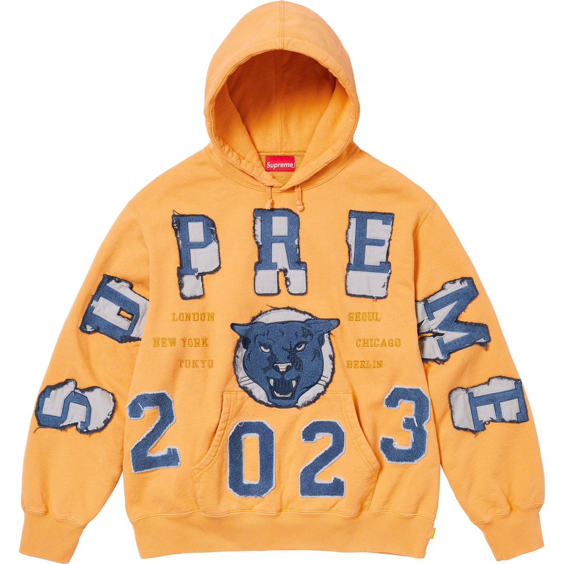 Details on Washed Panther Hooded Sweatshirt Dusty Gold from fall winter
                                                    2023 (Price is $178)