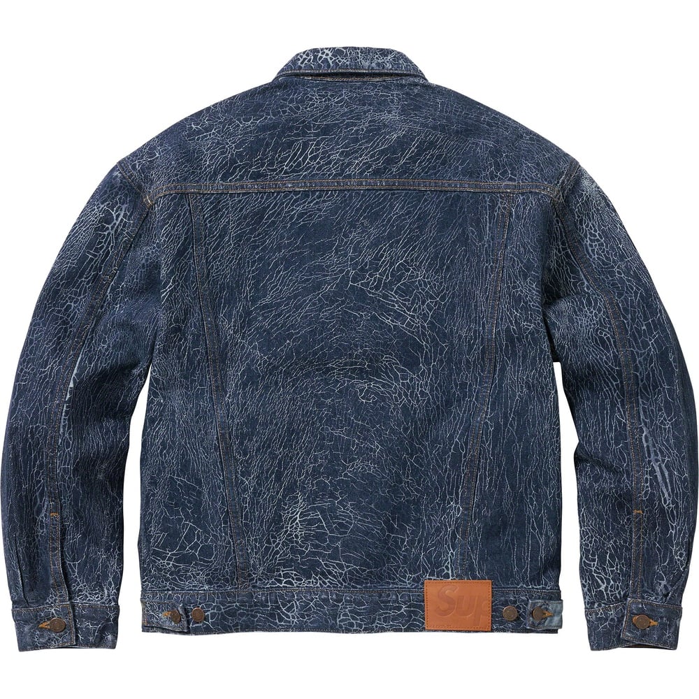 Details on Crackle Denim Trucker Jacket  from fall winter
                                                    2023 (Price is $368)