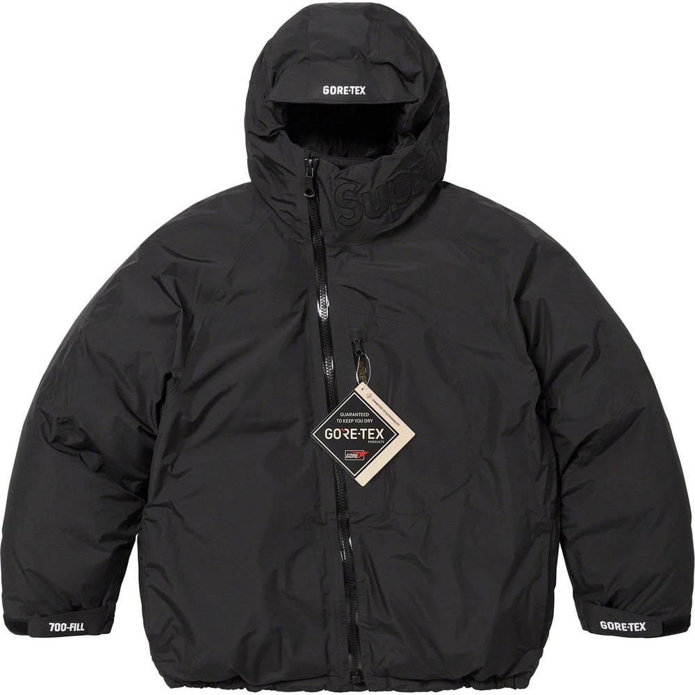 Details on GORE-TEX 700-Fill Down Parka  from fall winter
                                                    2023 (Price is $598)