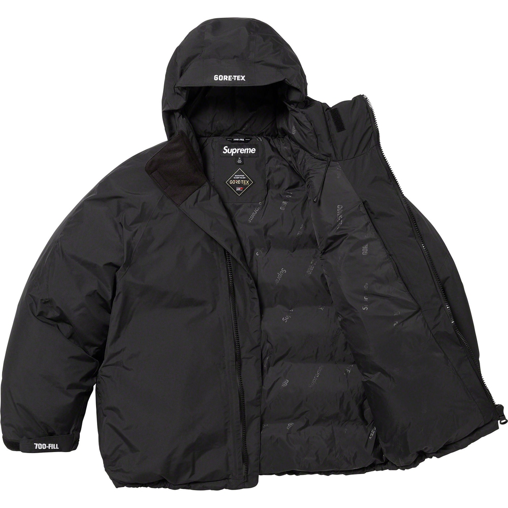 Details on GORE-TEX 700-Fill Down Parka  from fall winter
                                                    2023