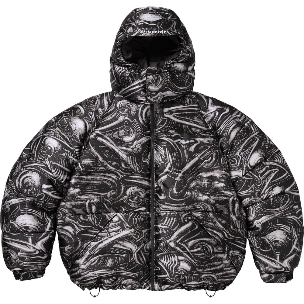 Details on H.R. Giger Jacquard Down Puffer Jacket  from fall winter
                                                    2023 (Price is $498)