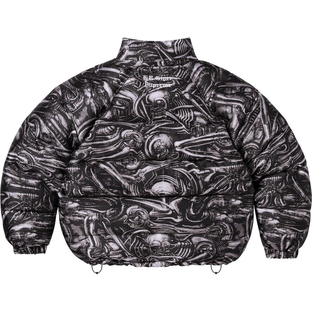 Details on H.R. Giger Jacquard Down Puffer Jacket  from fall winter
                                                    2023 (Price is $498)