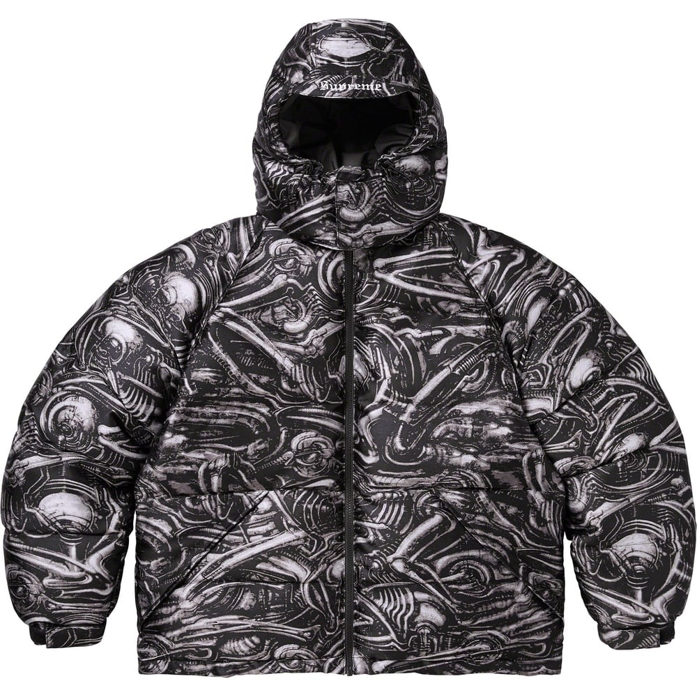 Details on H.R. Giger Jacquard Down Puffer Jacket  from fall winter
                                                    2023