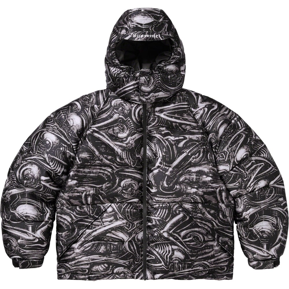 Details on H.R. Giger Jacquard Down Puffer Jacket  from fall winter
                                                    2023 (Price is $498)