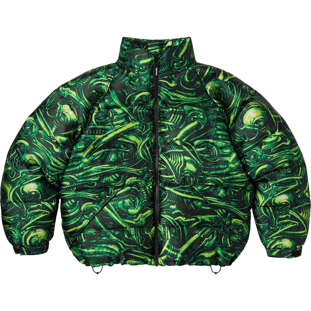 Details on H.R. Giger Jacquard Down Puffer Jacket  from fall winter
                                                    2023 (Price is $498)