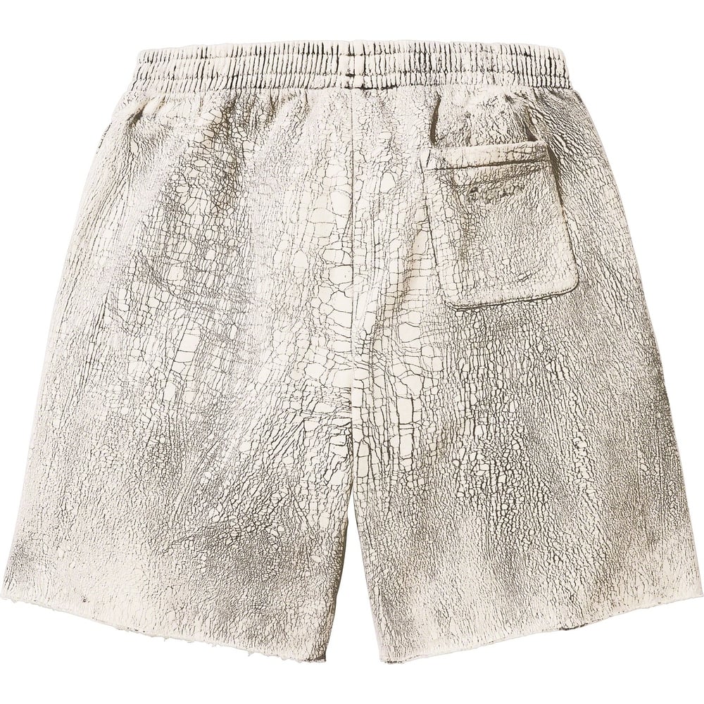 Details on Crackle Sweatshort  from fall winter
                                                    2023 (Price is $188)