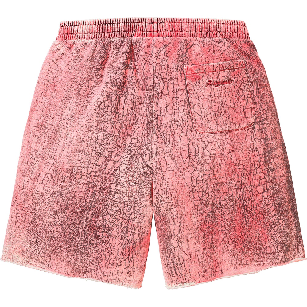 Details on Crackle Sweatshort  from fall winter
                                                    2023 (Price is $188)