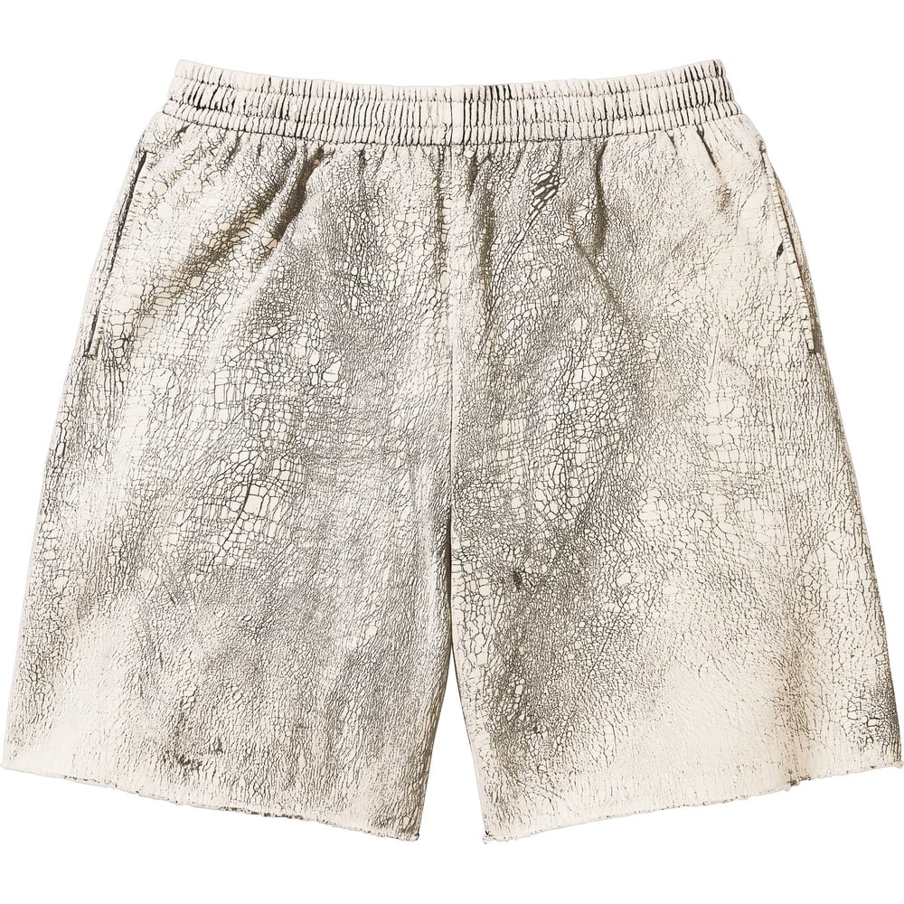 Details on Crackle Sweatshort  from fall winter
                                                    2023 (Price is $188)