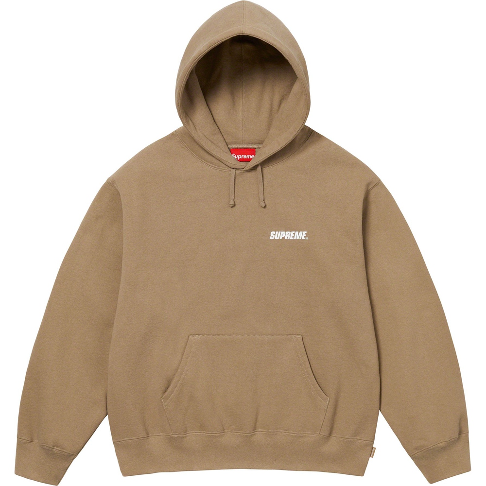 Details on Crown Hooded Sweatshirt  from fall winter
                                                    2023 (Price is $158)