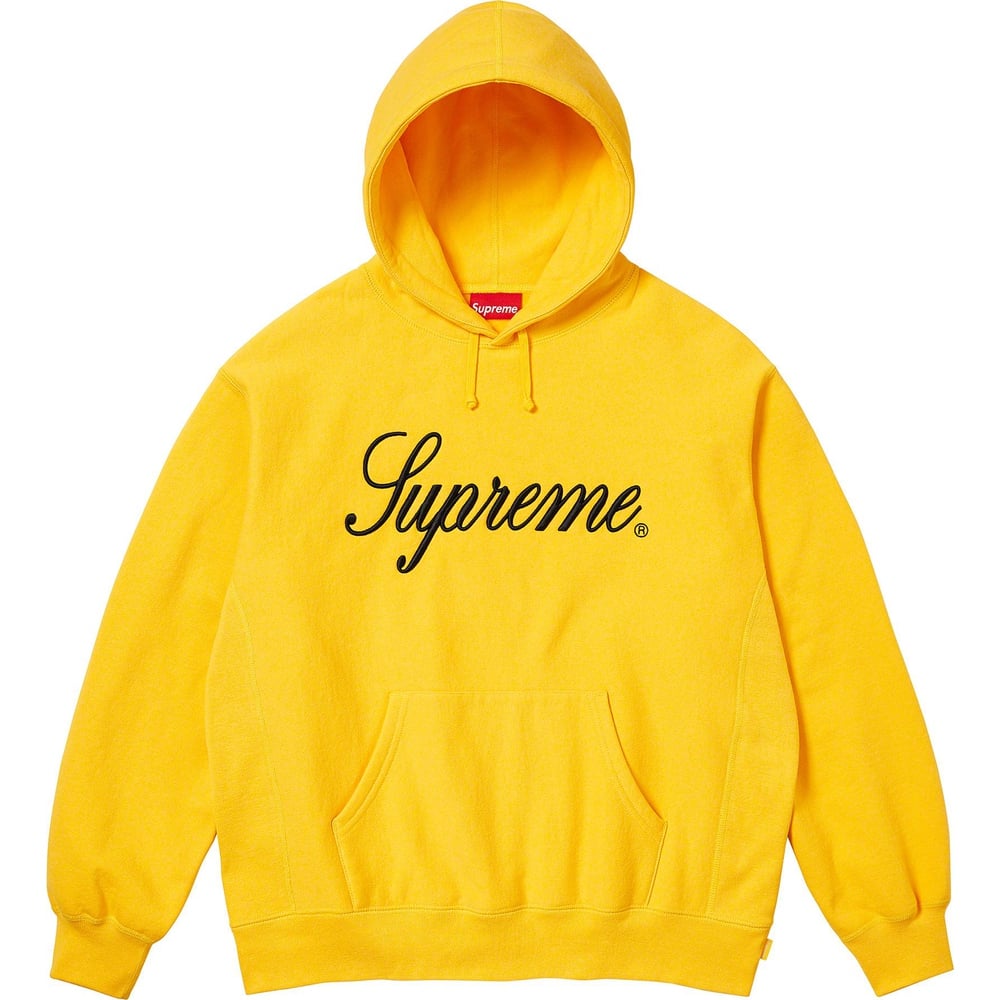 Details on Raised Script Hooded Sweatshirt  from fall winter
                                                    2023 (Price is $158)