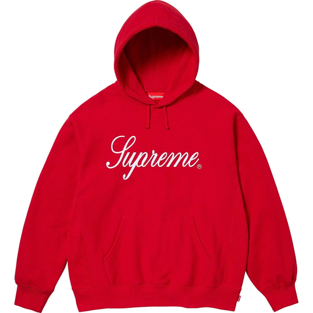 Details on Raised Script Hooded Sweatshirt  from fall winter
                                                    2023 (Price is $158)