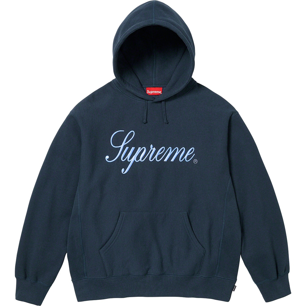 Details on Raised Script Hooded Sweatshirt  from fall winter
                                                    2023 (Price is $158)