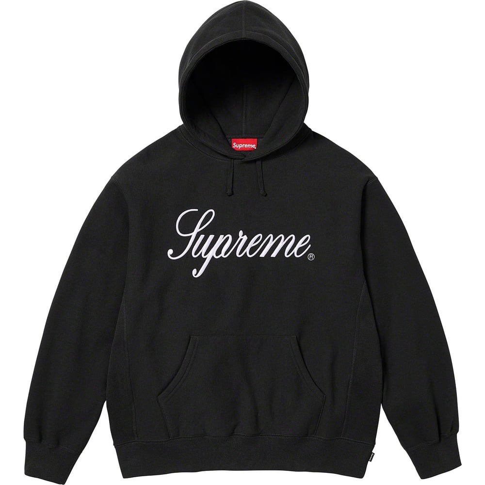 Details on Raised Script Hooded Sweatshirt  from fall winter
                                                    2023 (Price is $158)