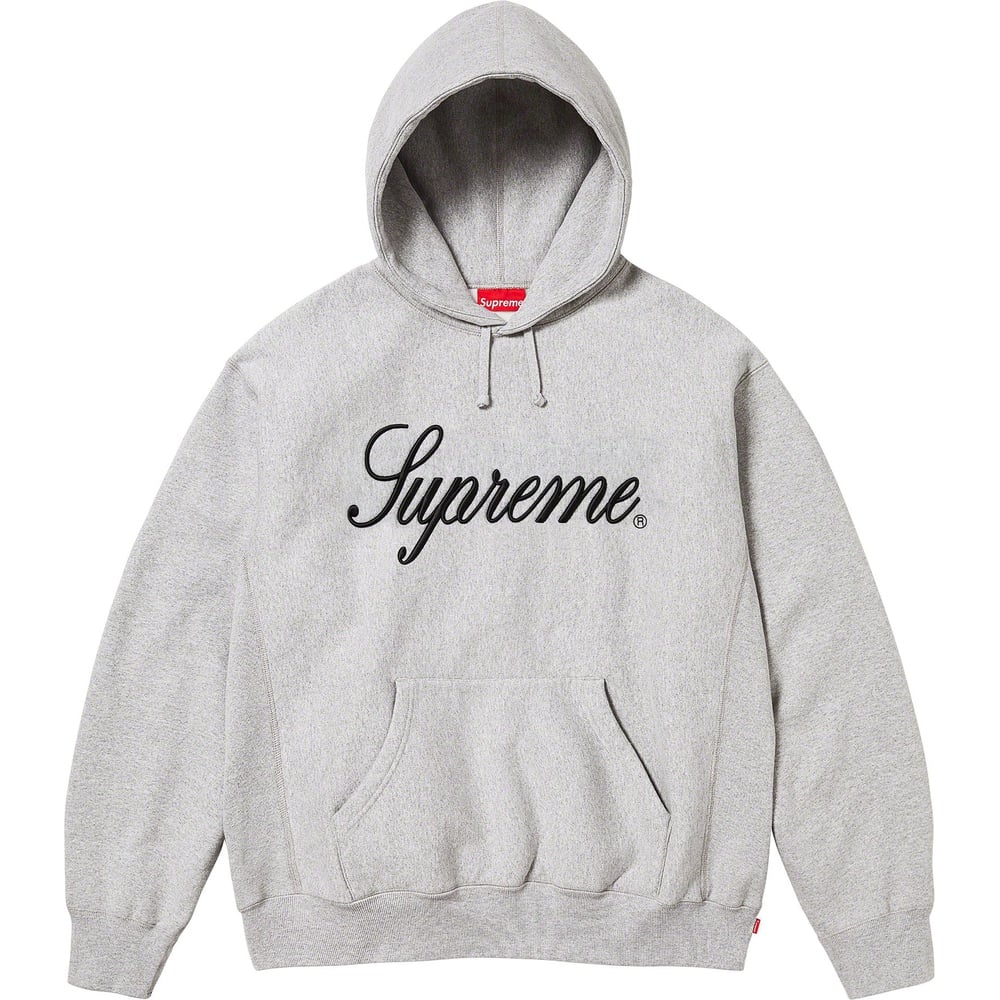 Details on Raised Script Hooded Sweatshirt  from fall winter
                                                    2023 (Price is $158)