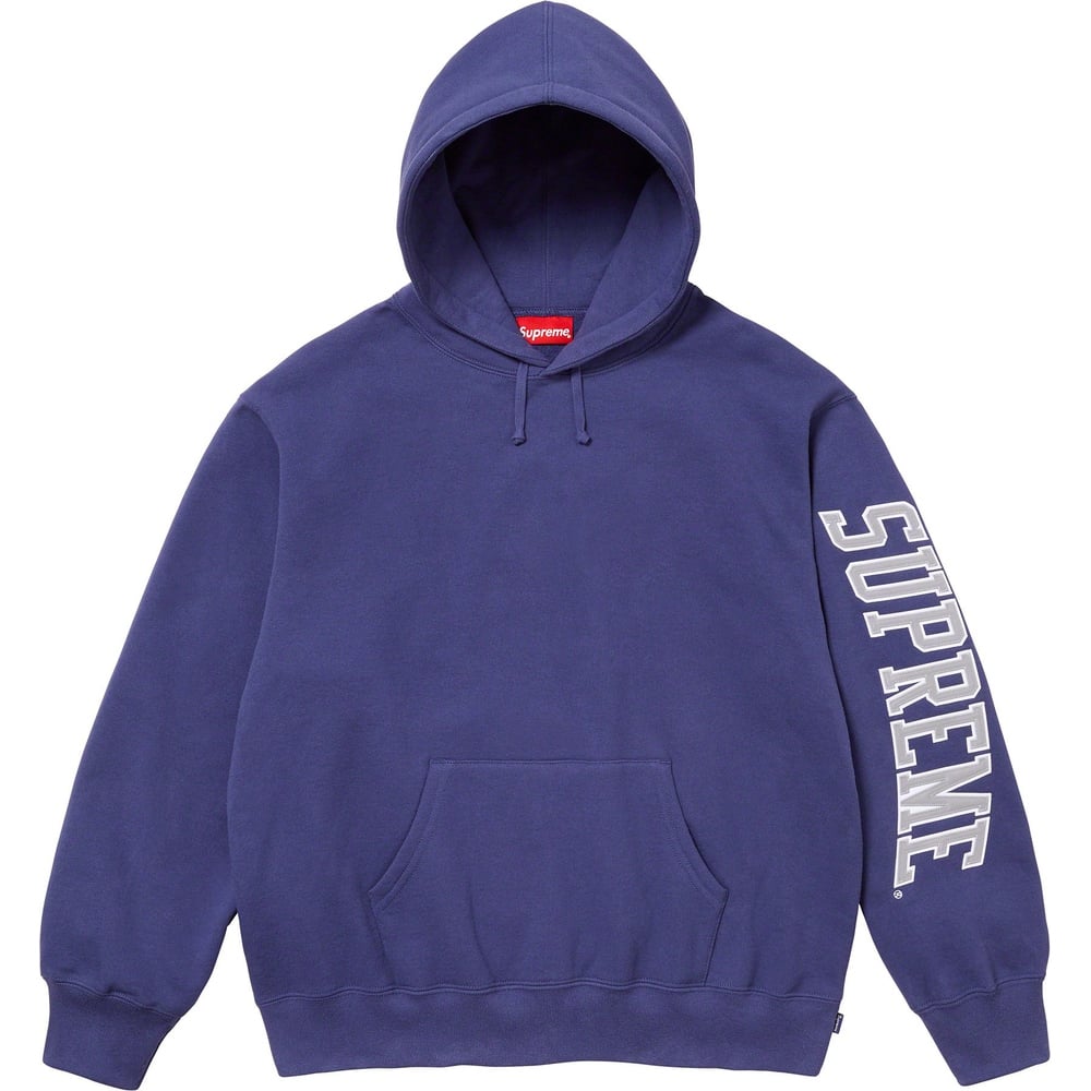 Details on Sleeve Arc Hooded Sweatshirt  from fall winter
                                                    2023 (Price is $158)