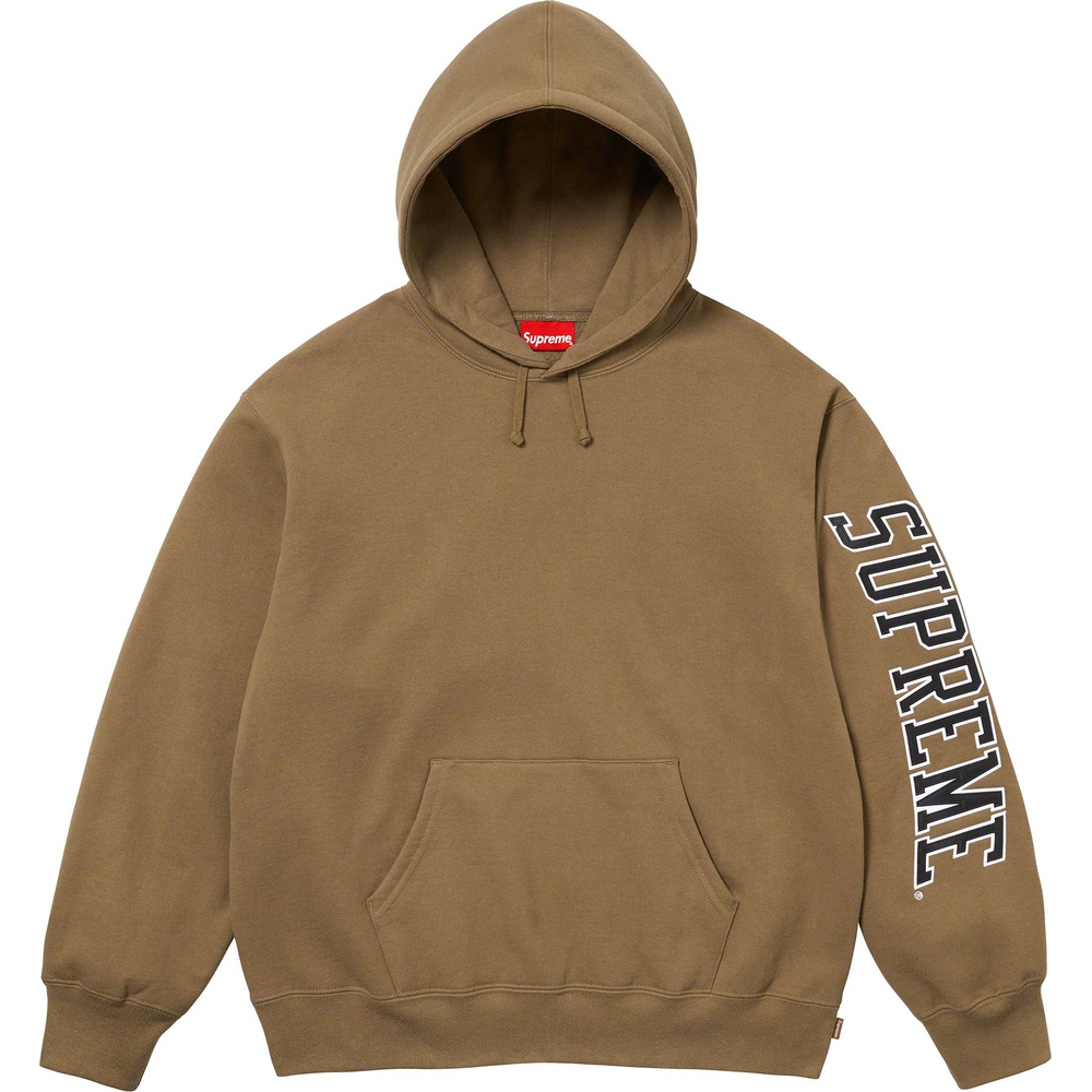 Details on Sleeve Arc Hooded Sweatshirt  from fall winter 2023 (Price is $158)