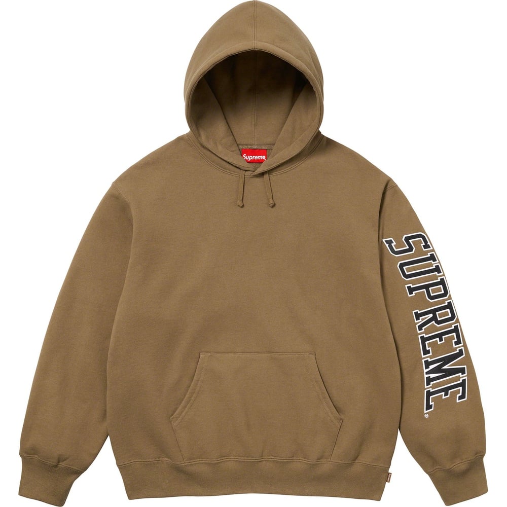 Details on Sleeve Arc Hooded Sweatshirt  from fall winter
                                                    2023 (Price is $158)