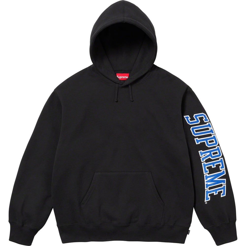 Details on Sleeve Arc Hooded Sweatshirt  from fall winter 2023 (Price is $158)