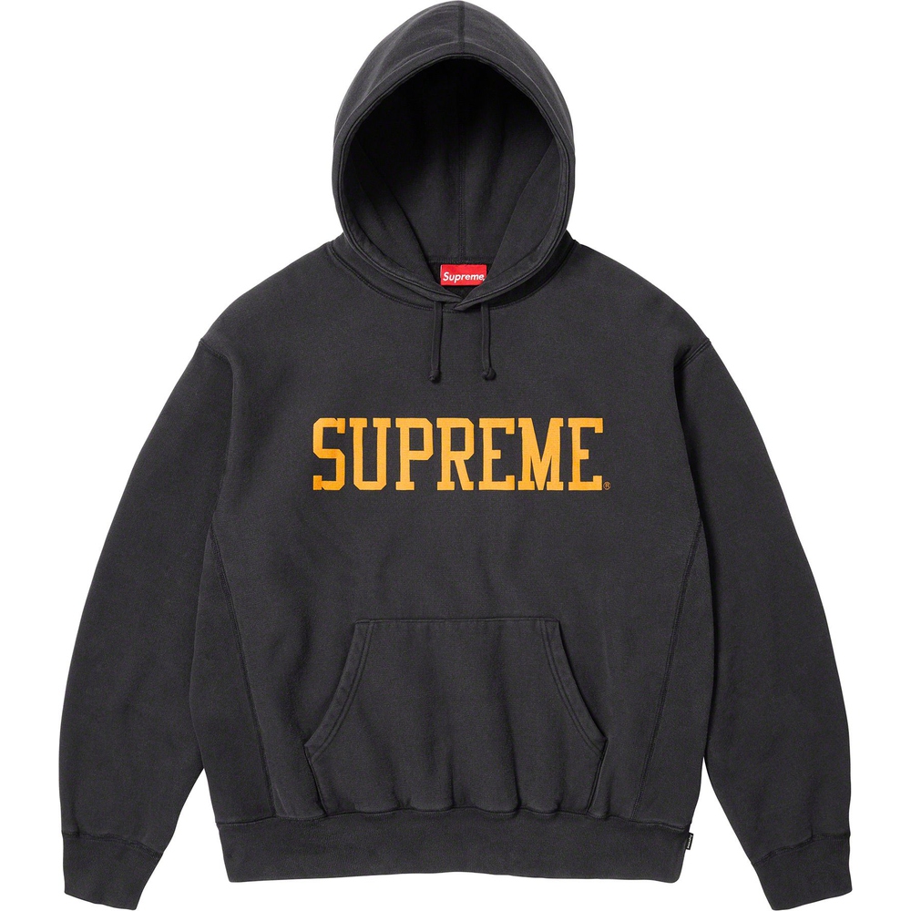 Details on Varsity Hooded Sweatshirt  from fall winter
                                                    2023 (Price is $158)