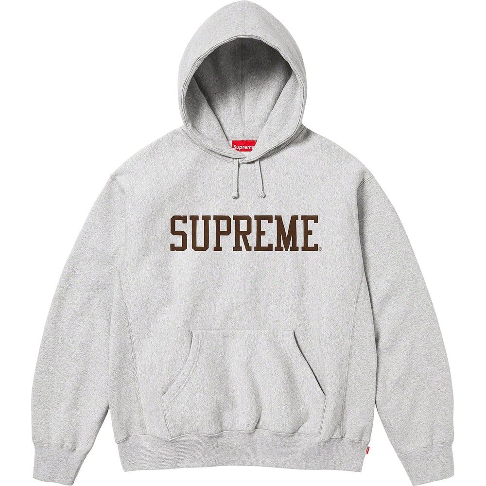 Details on Varsity Hooded Sweatshirt  from fall winter
                                                    2023 (Price is $158)